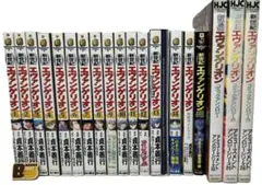 新世紀エヴァンゲリオン1〜14巻(13巻は限定版)全巻セット＋関連本　計19冊B
