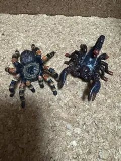 シュライヒ　タランチュラとサソリのフィギュアセット
