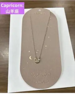 LEPSIM 星座ネックレス　山羊座のサムネイル