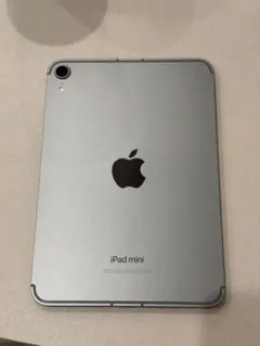iPad mini 7 256GB Cellular Apple Care 付き