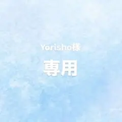 専用ページ