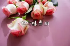 ちた様専用·͜· ︎︎ᕷ