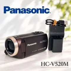2026年最新】Panasonic ビデオカメラの人気アイテム - メルカリ