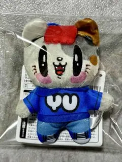 ジェ猫 アイドル