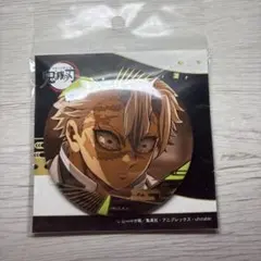 鬼滅の刃 箔押し 缶バッジ Vol. 3 不死川実弥