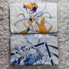 めいちゃん 僕等の色彩 2日間 通し券 特典