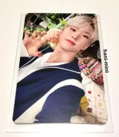 CARAT盤 ホシ SEVENTEEN 消費期限 封入 トレカ