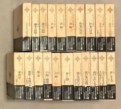 超メルカリ市限定❗️ドストエーフスキイ全集 18冊セット　6/16まで 2026年最新】ドストエフスキーの人気アイテム - メルカリ