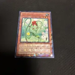 Item thumbnail for item c3e9cb3b-8eaa-4921-b6a3-aa284bb9e501