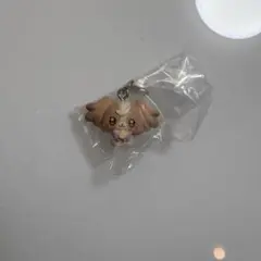 ぷちきゅあ めじるしアクセサリー こむぎ プリキュア