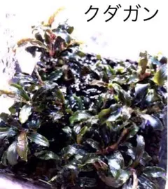 HIDEAKI☆様 リクエスト 2点 まとめ商品