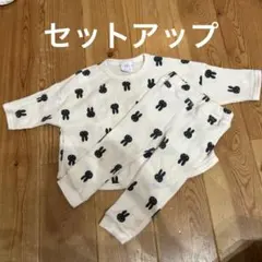 パンツ　トップス　セットアップ販売