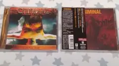 Criminal ２枚セット