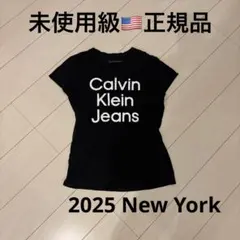 未使用カルバンクラインcalvin klein Tシャツ 黒 M L半袖トップス
