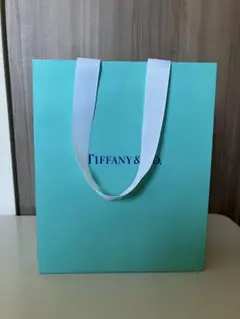 Tiffany & Co. ショップ袋 ティファニーブルー(のサムネイル