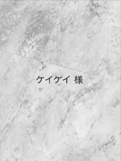 ケイケイ様　ヌビバッグ