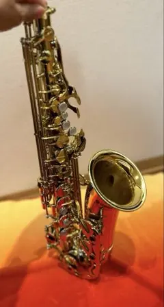 2026年最新】セルマー サックス ケースの人気アイテム - メルカリ