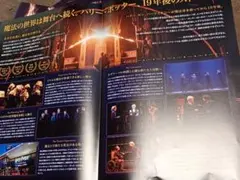 ハリー・ポッターと呪いの子 A4フライヤー10枚・稲垣吾郎・平岡祐太・松井玲奈