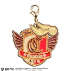 【ハリーポッター】クィディッチ【キーホルダー】
