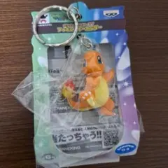 ヒトカゲ キーホルダー