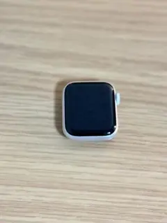 AppleWatch SE 初代 ジャンク 充電可 充電ケーブル付き A2351