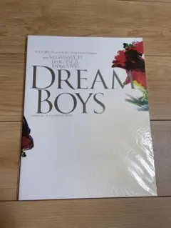 DREAM BOYS パンフレット