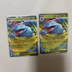 メガフシギバナex rr 2枚セット