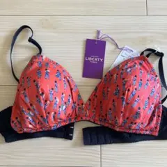 Item thumbnail for item 181b20a5-8fcd-45a1-9e75-663d224ba30d