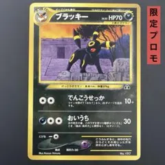 ブラッキー 旧裏 ポケモンカード プレミアムファイル2 プロモ イーブイ