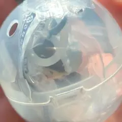 専用出品