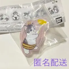 ●モフサンド　アクリルクリップ　デザインG ガチャガチャ