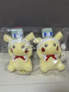 ポケモンセンターオリジナル オーロラツアー ピカだるま オス メス