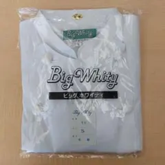 Item thumbnail for item c6f5e6cf-6207-43da-960b-bb8b73964174