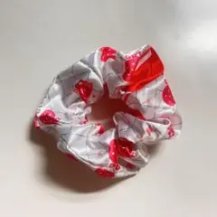 すとめも9 莉犬 シュシュ