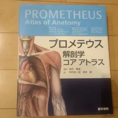 Item thumbnail for item c44a548d-5c80-4a1d-a7aa-5a681d499df2