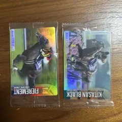 サラブレッドホースコレクション