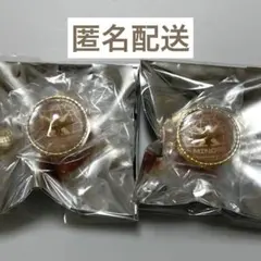 プロセカ 花里みのり モモジャン セカライ 5th リンライ