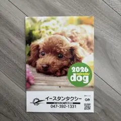 Item thumbnail for item a5ca107f-b2d0-4cc2-835c-55f50c82f656