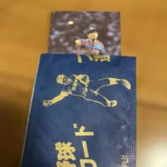 中日ドラゴンズ、星野仙一開封カード、プロ野球チップスカードまとめ買い依頼値引き