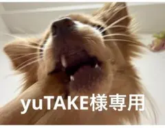 yuTAKE様専用
