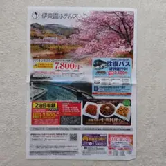 ④静岡　伊東園ホテルズ　はなの金曜日割引1枚　お誕生日割引1枚　伊藤園ホテル