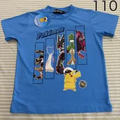 Item thumbnail for item 6d370d13-f117-4692-a839-aa4e7803ba5f