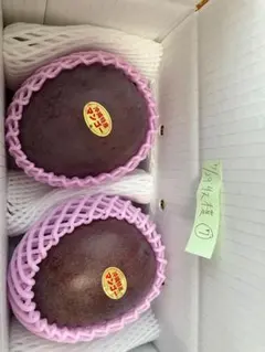 沖縄県産 レッドキーツマンゴー 1470g 現物 - メルカリ