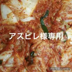 아주 매운 배추 500g 셀러리 300g