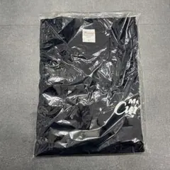 メンズカーブス　Tシャツ　カットソー　ネイビー　【L】 ロゴT 新品　ジム