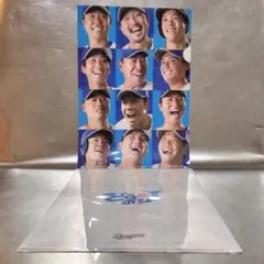 【2枚】Dragons 来場者限定配布 どらポジ ポジティブクリアファイル