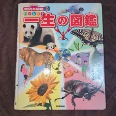 학연의 도감 뉴 와이드 일생의 도감 아동서 어린이용 교육책