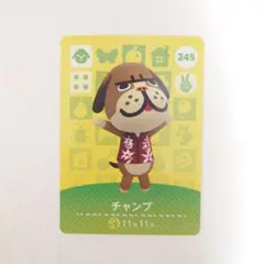 あつまれどうぶつの森 amiiboカード チャンプ