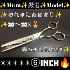極美品 柳生 セニング シザー SH4 スキ率35〜40％ 理容 美容 極美品 柳生 セニング シザー SH4 スキ率35〜40％ 理容 美容 - メルカリ