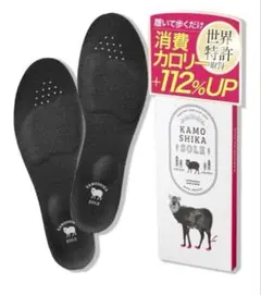 Item thumbnail for item 7e1c5236-d601-401c-95d6-3c3e8fddb2f2